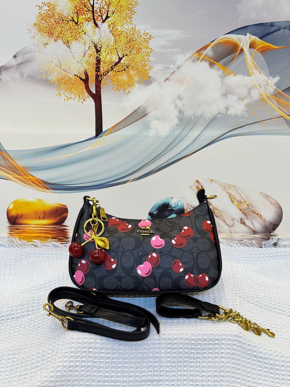 Coach Teri Shoulder Bag in Signature Canvas with Heart Cherry Print (Charcoal/Black/Pink Multi)