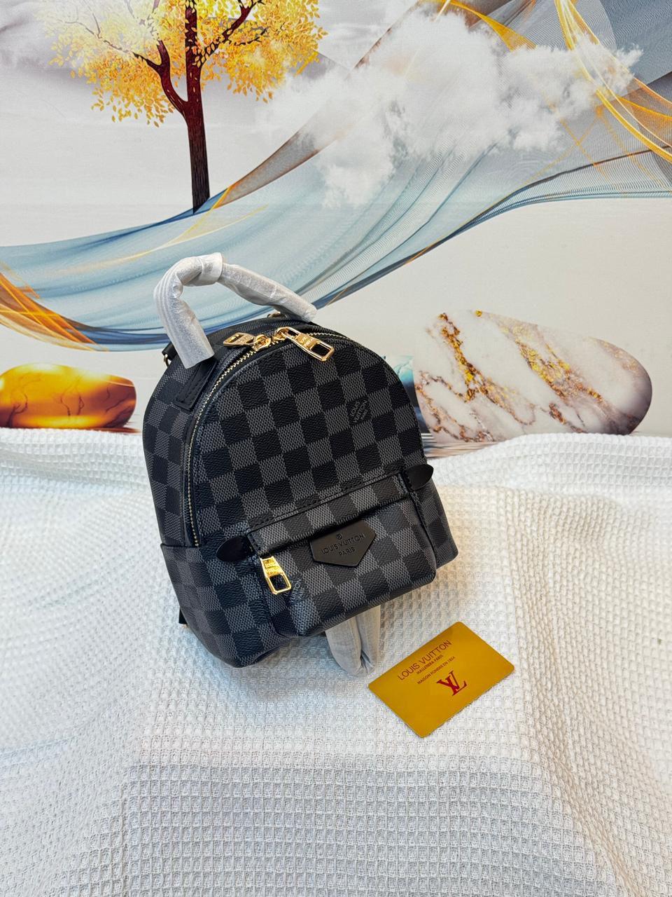 Louis Vuitton Palm Springs Mini in Damier Graphite Canvas (Grey/Black)