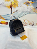 Louis Vuitton Palm Springs Mini in Damier Infini Leather (Onyx)