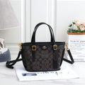 Coach Mollie Tote 25 in Signature Canvas (Charcoal/Black)