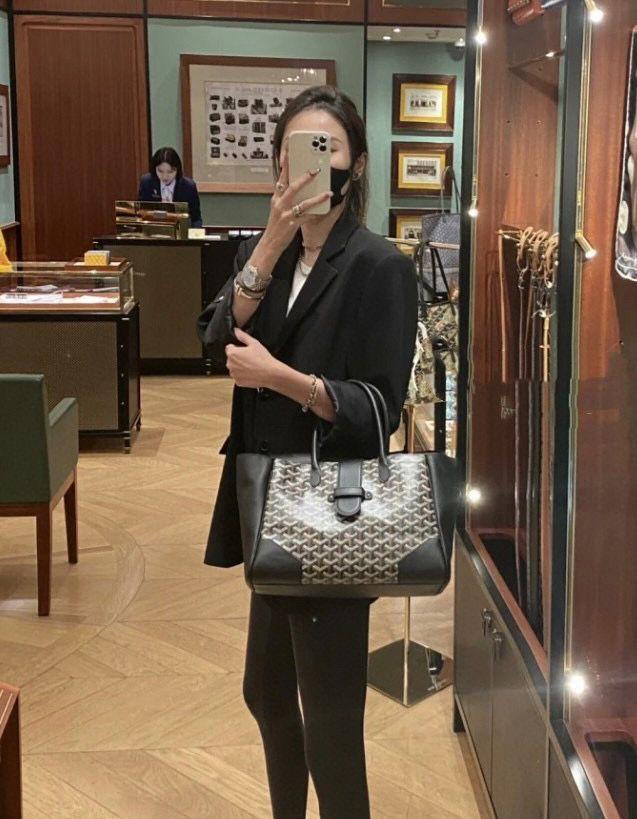 Goyard Saïgon Structured Bag (Black)