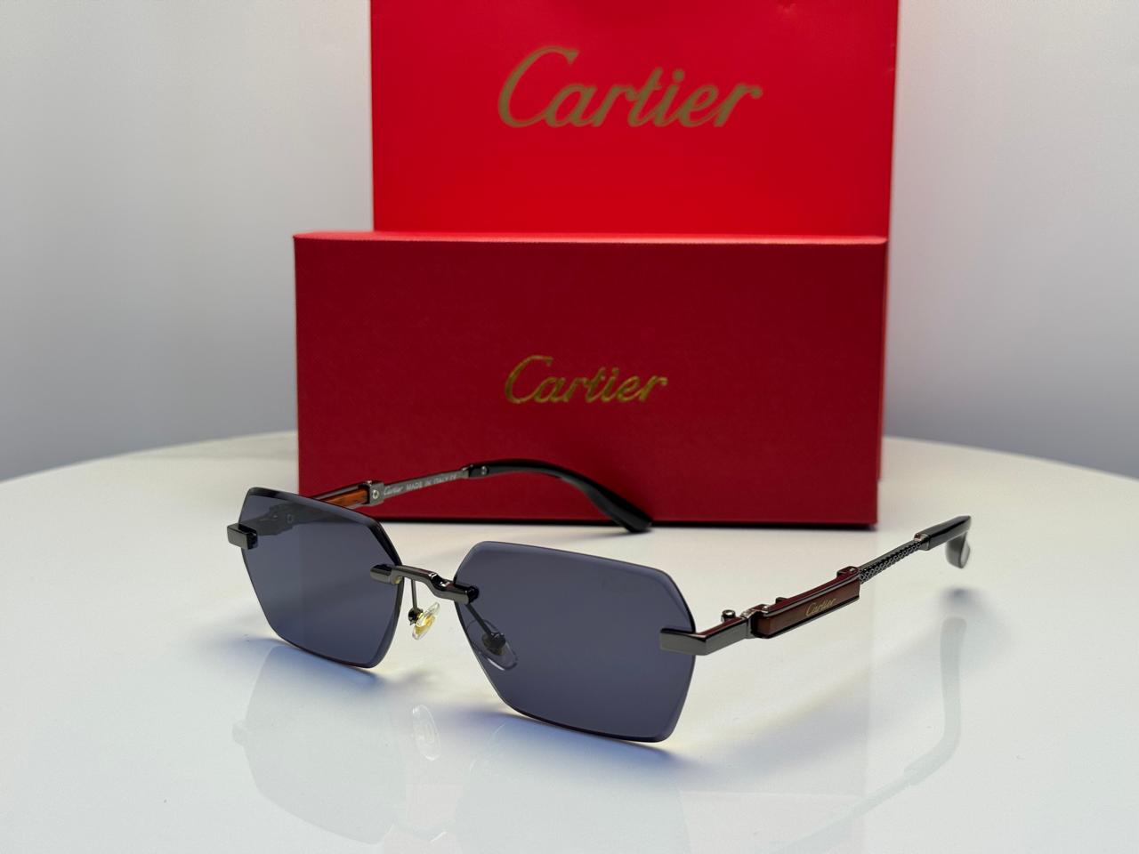 Cartier C Décor Octagonal Sunglasses (Black Metal/Dark Grey)