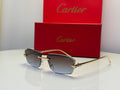 Panthère de Cartier (Gold/Gradient Blue-Grey)