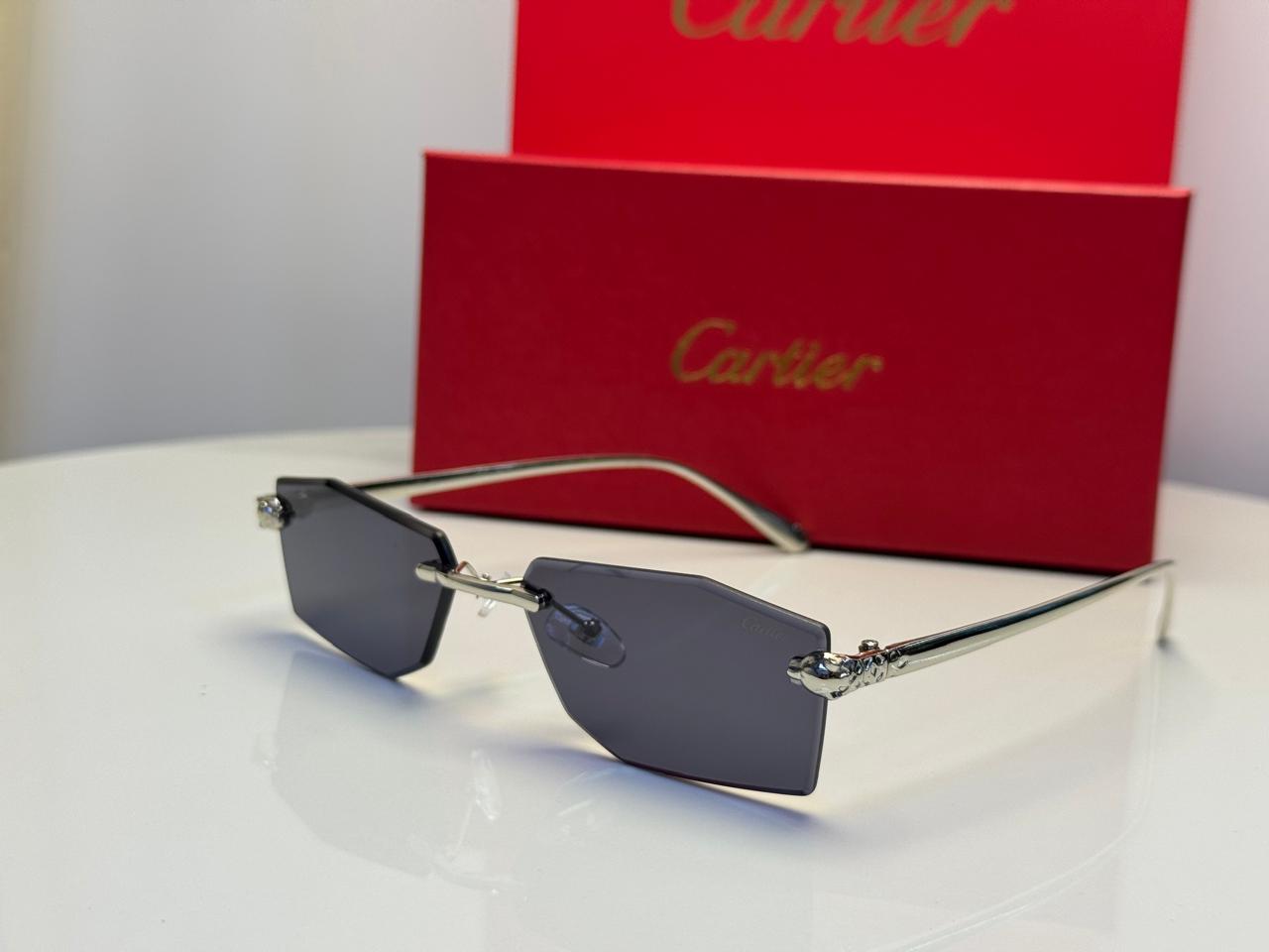 Panthère de Cartier Sunglasses (Silver Finish)