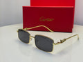 Panthère de Cartier (Gold/Grey)