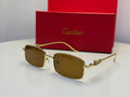 Panthère de Cartier (Gold/Brown)