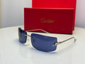 Panthère de Cartier (Silver/Blue)