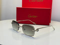 Cartier CT0462S (Silver/Gradient Grey)