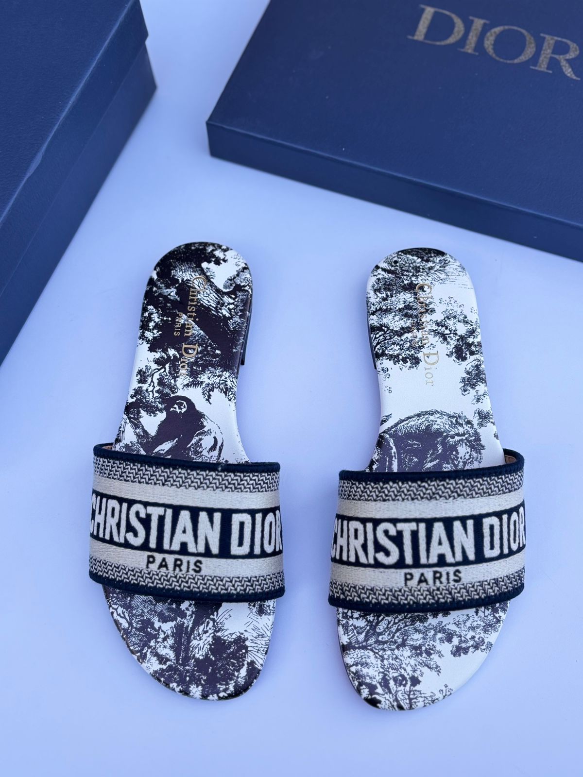 Dior Dway Slide (Black Toile de Jouy Sauvage)