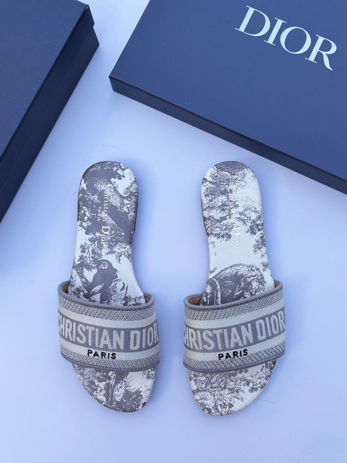 Dior Dway Slide (Steel Gray Toile de Jouy Sauvage)